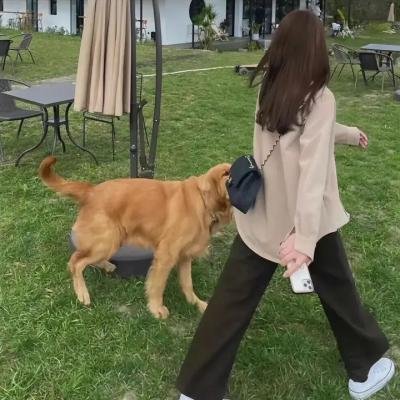 柜中野兽